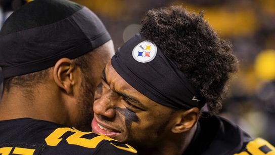 Kovacevic: Living in their cheers taken at Heinz Field (Steelers)