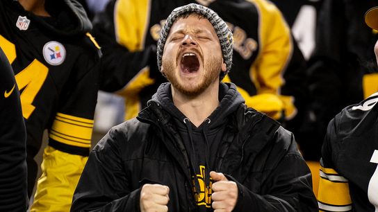 Pittsburgh fans among country's most stressed taken at Highmark Stadium (Penguins)