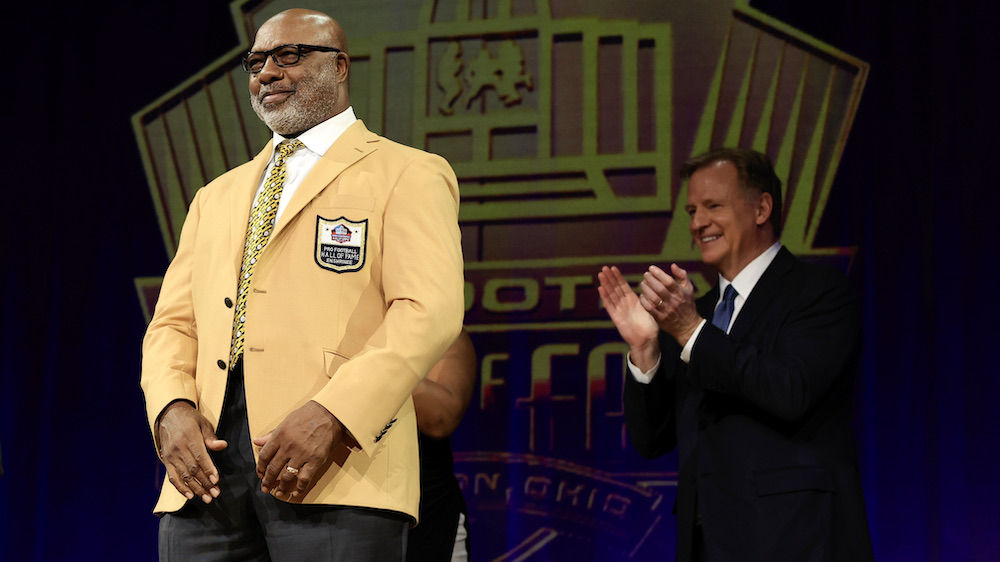 Troy Polamalu, Bill Cowher get loudest Hall of Fame Enshrinement cheer