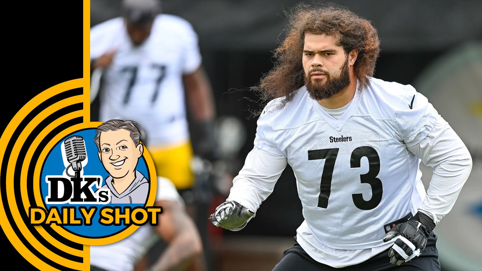 DK's Daily Shot of Steelers: A lean to the left?