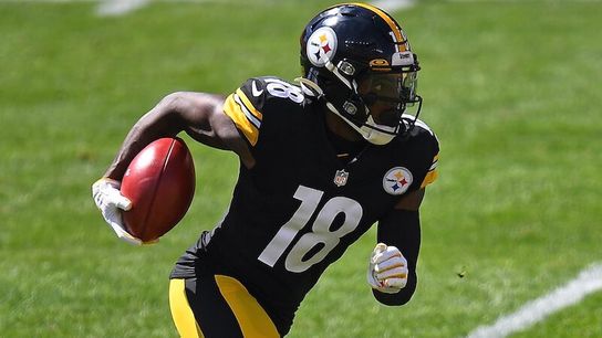 Johnson concussed but tweets he's 'fine' taken at Heinz Field (Steelers)