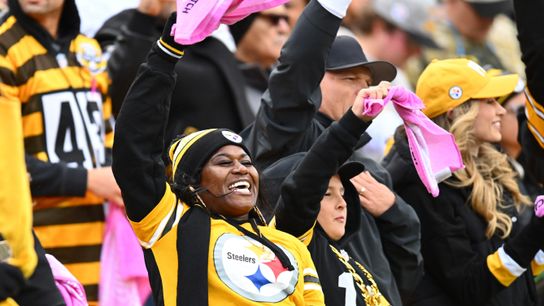 A fan waves her Terrible Towel -- colored pink for breast cancer awareness -- in the fourth quarter Sunday at Acrisure Stadium.