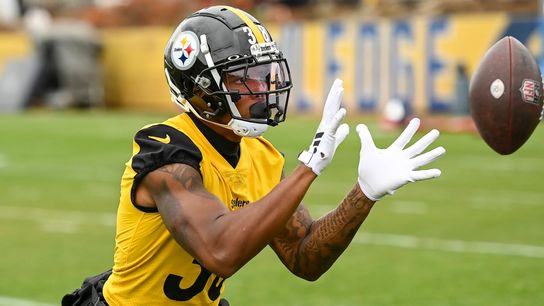 Steelers' defense wounded, but there's confidence in replacements taken on the South Side (Steelers)