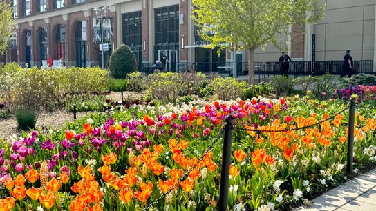 Pirates vs. Mets, 145th season opener, 1:15 p.m. taken New York