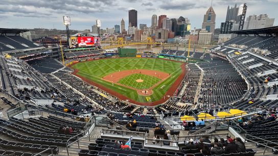 DK: Sorry start, sullen fans, 150-plus to go ... who'll steady this? taken North Shore. Photo by DEJAN KOVACEVIC / DKPS