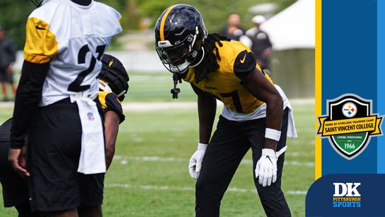 Tomlin shows willingness to give others a go after preseason opener taken in Latrobe, Pa. (Steelers)