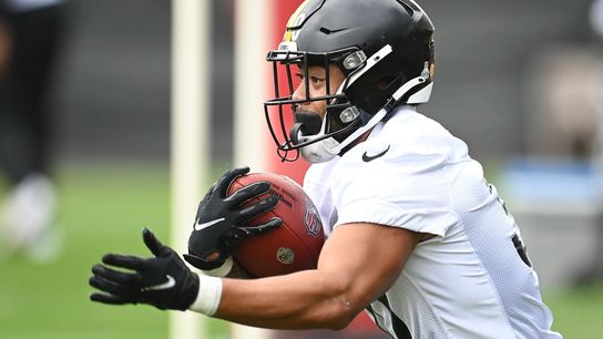 'He's exactly what we're looking for:' Warren's emergence a bright spot taken on the South Side (Steelers)