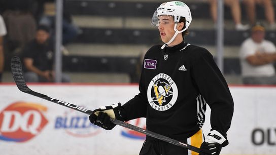 Development camp: Brunicke hopes to serve as inspiration for South African hockey taken in Cranberry, Pa. (Penguins)