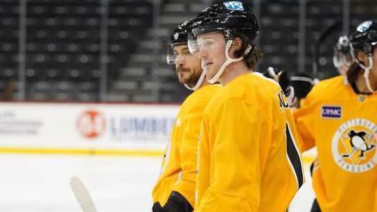 Malkin 'week to week;' McCann replaces him on No. 2 line taken in Newark, N.J.  (Penguins)