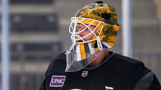 Nedeljkovic's injury provides opportunity for Blomqvist taken in Cranberry, Pa. (Penguins)