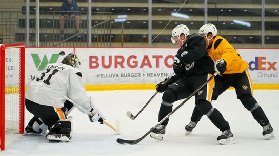 Puustinen needs to 'bring some finish' to earn spot taken in Cranberry, Pa. (Penguins)