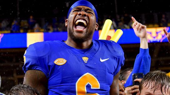 Morgan's exit signifies start of new era for Pitt defensive line taken on the South Side (Pitt)