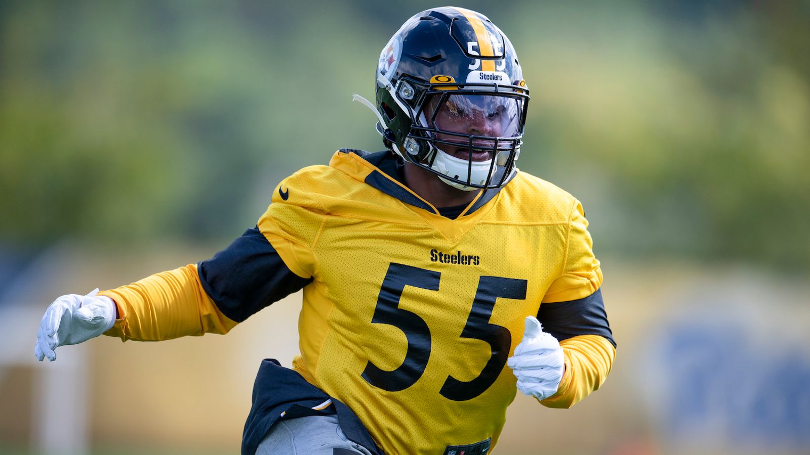 Devin Bush Latest First-Rounder To Have Fifth-Year Option Declined