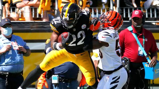 Final: Bengals 24, Steelers 10 taken at Heinz Field (Live coverage)