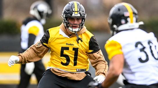 Steelers preparing for everything, though Jackson, others will rest taken on the South Side (Steelers)