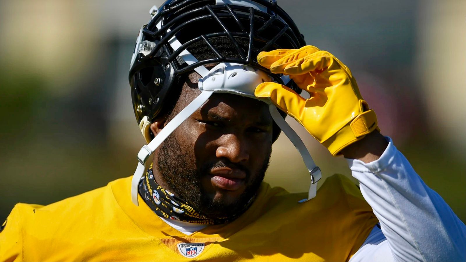 Steelers' Stephon Tuitt, 29, Announces Retirement