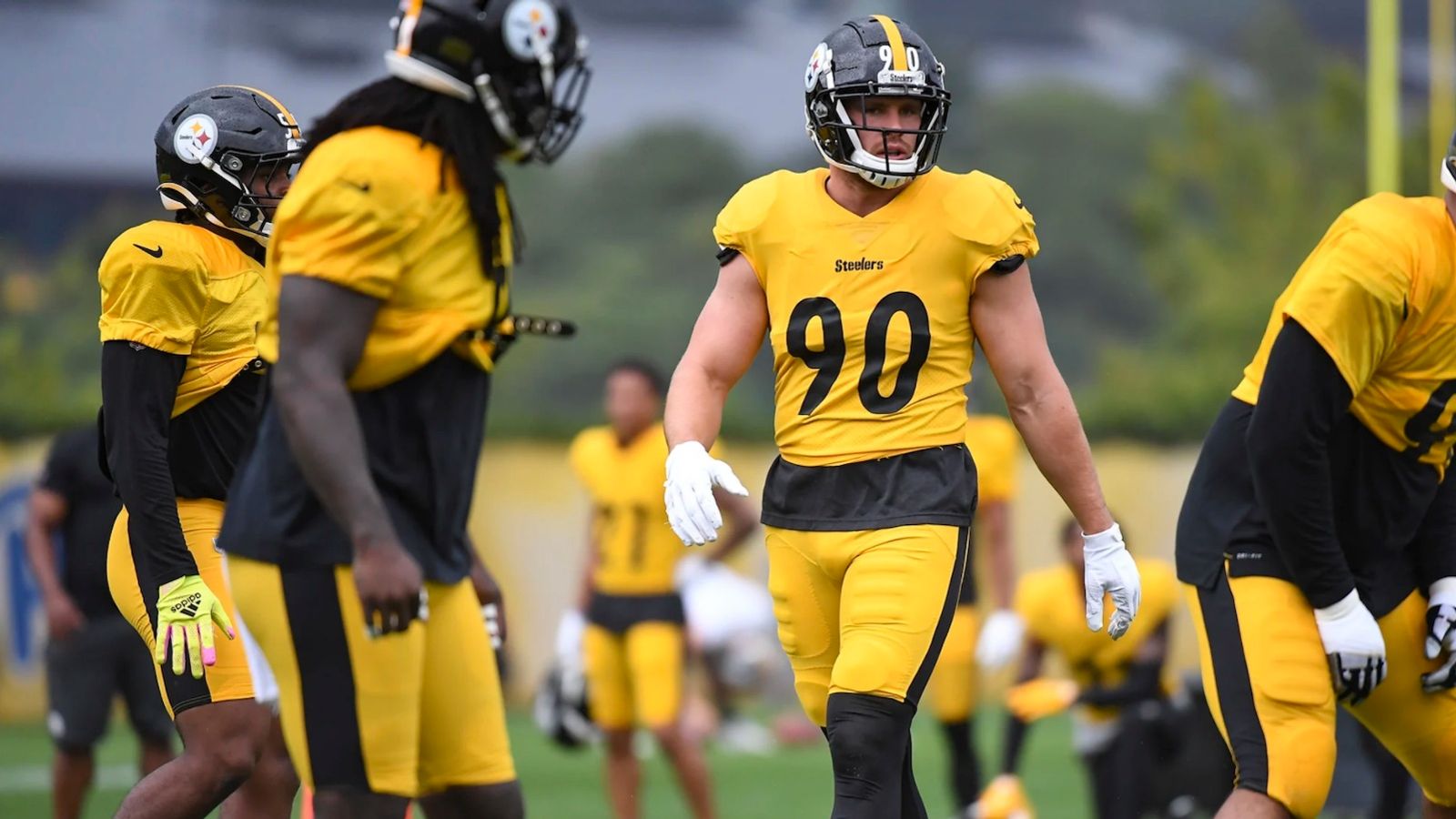 James Harrison Thrilled as T.J. Watt Breaks His Steelers Record