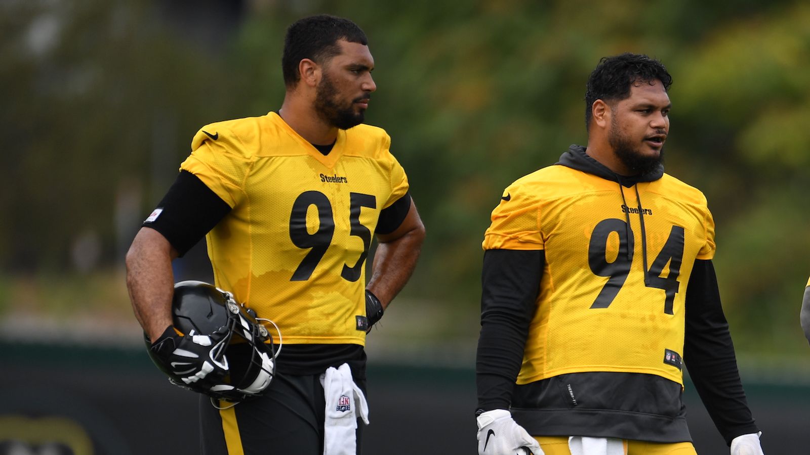 Pittsburgh Steelers defensive end Tyson Alualu (94) during an NFL