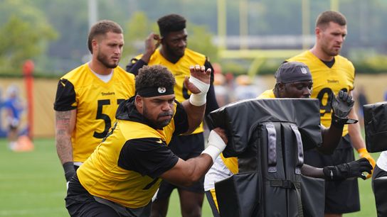 Halicke: Steelers finalize 53-man roster, several positions still in flux taken on the South Side (Steelers)