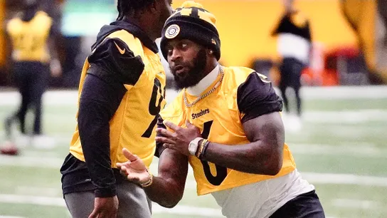 Steelers' speed helps defend Jackson differently taken on the South Side. Photo by GREG MACAFEE / DKPS