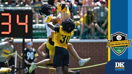 Halicke: New guys stealing the show over first few days of camp taken in Latrobe, Pa. (Steelers)