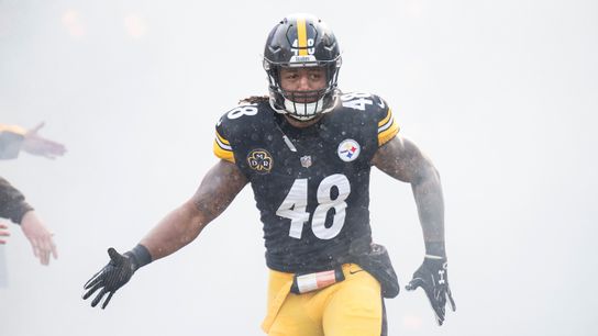 Dupree's scary power: 'He actually broke the punching shield' taken at Rooney Complex (Steelers)