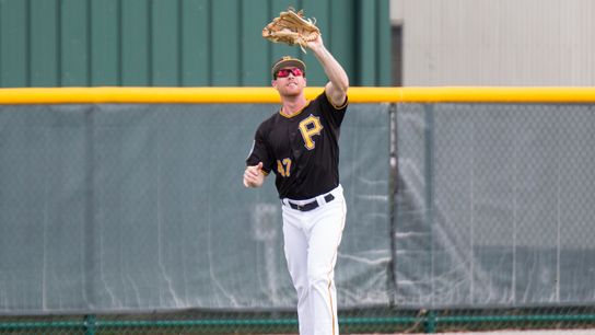 Luplow, Stallings among four cut from major-league camp taken in Bradenton, Fla. (Pirates)