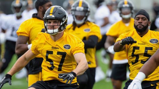 Lolley: Steelers don't need to excel on defense taken at Rooney Sports Complex (Steelers)