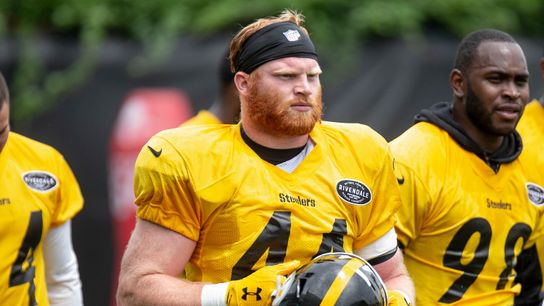 Matakevich leaves Steelers, strikes it rich with Bills taken on the North Shore (Steelers)