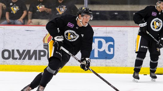 Penguins sign second-round pick Hallander taken at Highmark Stadium (Penguins)