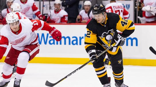 Primer: Understanding NHL waiver system taken at Highmark Stadium (Penguins)