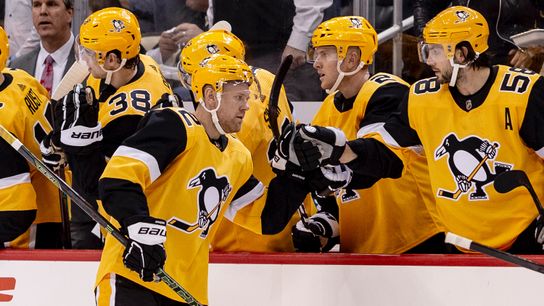 'Tough loss': Hornqvist out with concussion taken at PPG Paints Arena (Courtesy of Point Park University)