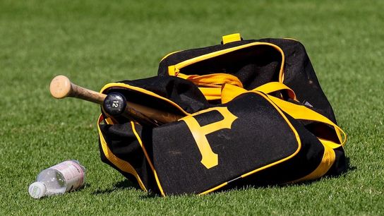 Pirates expected to sign pricy Dominican outfielder taken at PNC Park (Pirates)