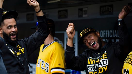 Diaz comes off IL, Stallings goes on taken at PNC Park (Courtesy of StepOutside.org)