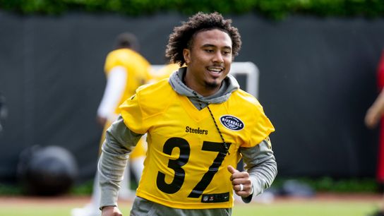 Camp Battles: Safety in numbers? Steelers hope so taken on the North Shore (Steelers)