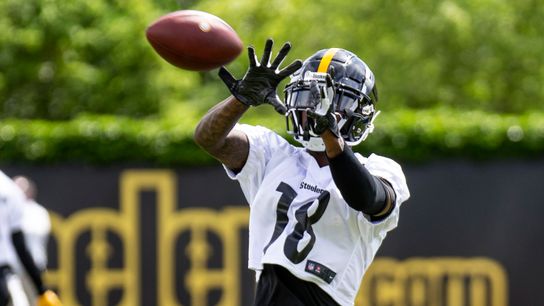 Johnson embraces similarities with Brown taken at Rooney Complex (Steelers)