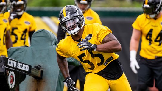 Butler: 'We wanted one of the Devins' taken at Rooney Complex (Steelers)