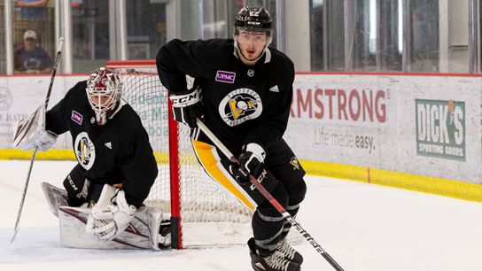 Lauzon retires after concussion symptoms return taken at PPG Paints Arena (Courtesy of Point Park University)