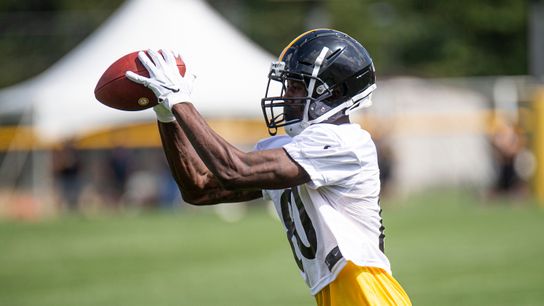 Steelers add Holton to 53-man roster, release Skipper taken in Foxborough, Mass. (Steelers)