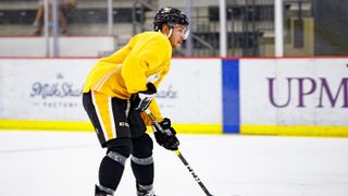 Penguins recall three from Wilkes-Barre taken at PPG Paints Arena (Penguins)