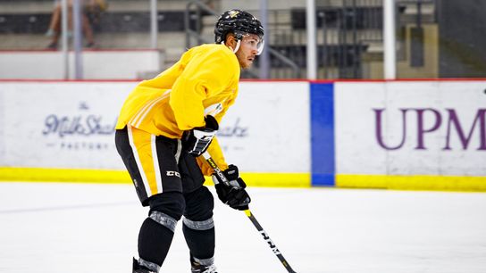 Penguins recall three from Wilkes-Barre taken at PPG Paints Arena (Penguins)