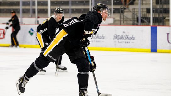 McCann: Depth, simple game key to success taken in New York (Penguins)