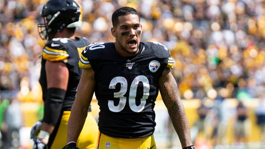 Pouncey, Conner out for season finale taken at Rooney Complex (Steelers)