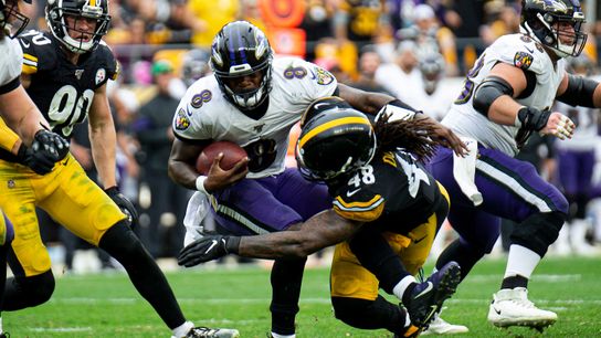 Steelers 2020 Breakdown: Week 7 and 12, Ravens taken in Hagerstown, Md. (Steelers)