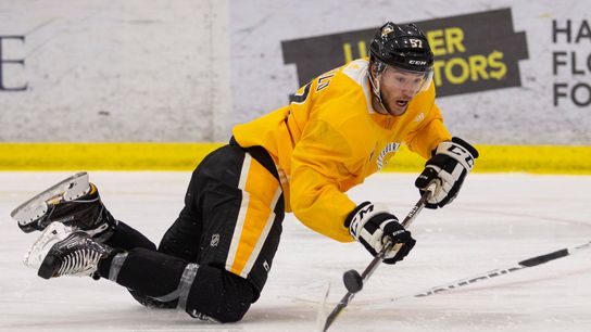 Angello earns first NHL call up taken in Cranberry, Pa. (Penguins)