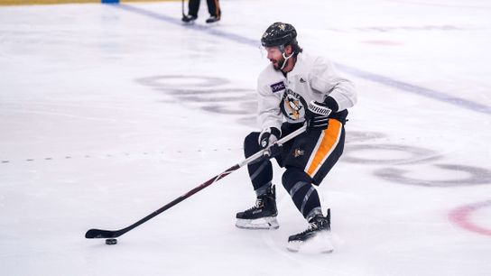 NHL to expand informal skates taken on the North Shore (Penguins)