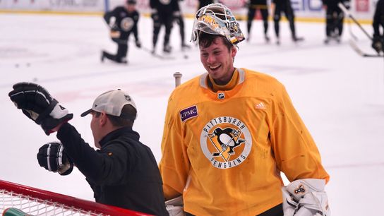 Penguins hold out nine players as precaution taken in Cranberry, Pa. (Penguins)