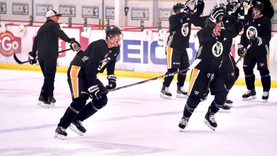 Kovacevic: For Sullivan, Crosby, there's one goal taken in Cranberry, Pa. (DK'S GRIND)