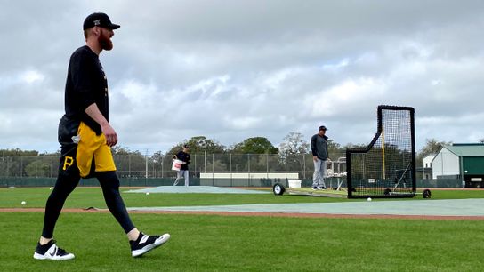 Moran, Pirates hope he can shed platoon label taken in Bradenton, Fla. (Pirates)