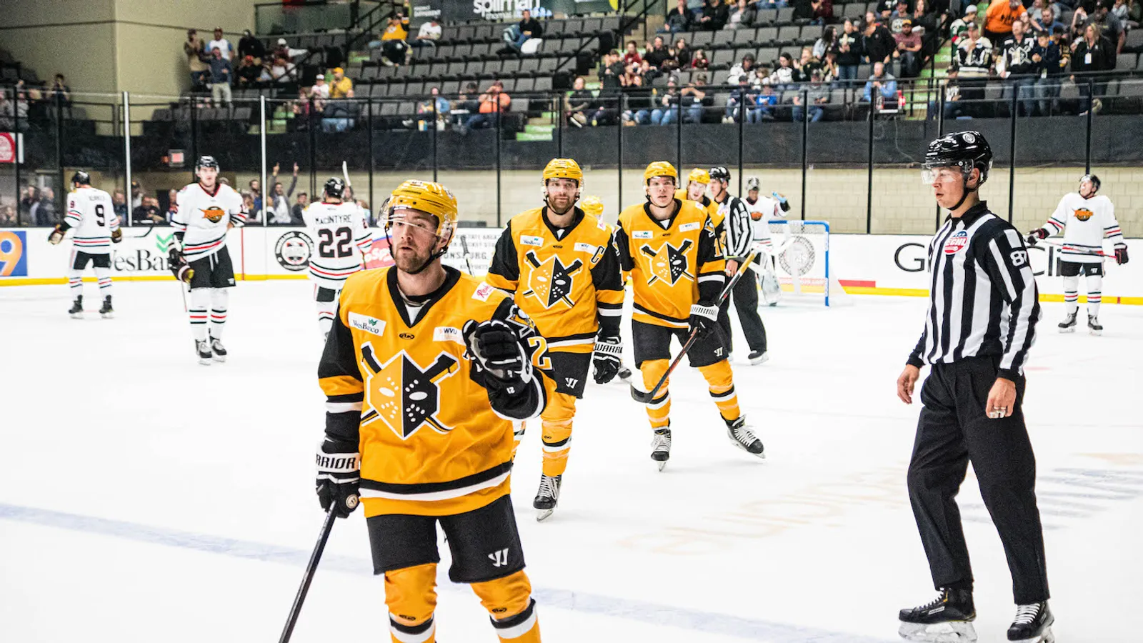 Wheeling Watch: Brown confident in return to Nailers taken at PPG Paints Arena (Penguins)